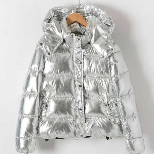 Silver Puffer Down Jacket