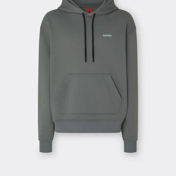 Ferrari Silicon Logo Grey Hoodie